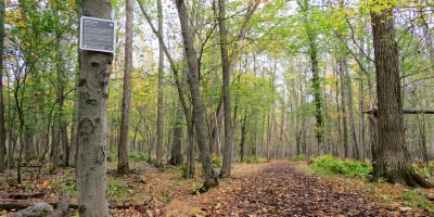 parc_regional_de_longueuil_1_a