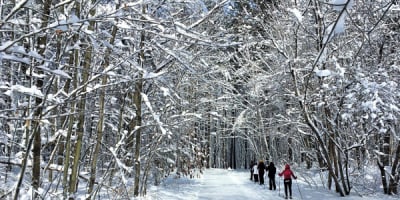 parc_regional_des_greves_1_h