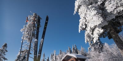 parc_regional_montagne_du_diable_1_h