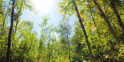 parcs_regionaux_du_quebec_1