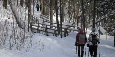 promenade_jacques_cartier_1_h