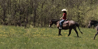 ranch_robert_1