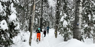 ski_de_fond_au_mont_grand_fonds_1_h