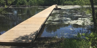 societe_de_conservation_dinterpretation_et_de_recherche_de_berthier_et_ses_iles_1