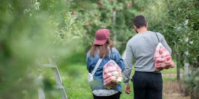 terroir_et_saveurs_du_quebec_1
