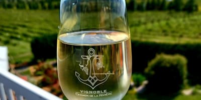 vignoble_chemin_de_la_riviere_1