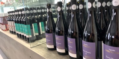 vignoble_cortellino_1