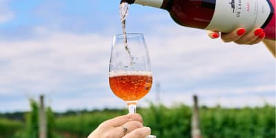 vignoble_de_lavoie_poitevin_1