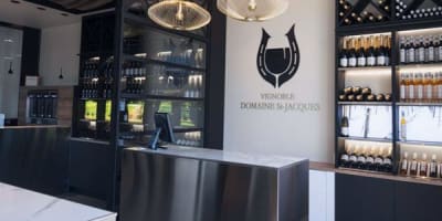 vignoble_du_domaine_saint_jacques_1