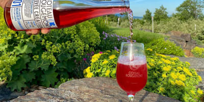 vignoble_et_cidrerie_coteau_rougemont_1