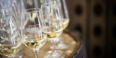 vignoble_le_cep_dargent_1_h