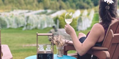 vignoble_les_cotes_du_gavet_1