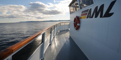 voyages_aml_1