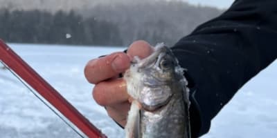 Ice fishing at Pourvoirie Légendes des Bois Outfitter.