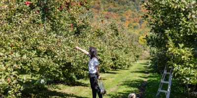 A woman picking apples with a dog.