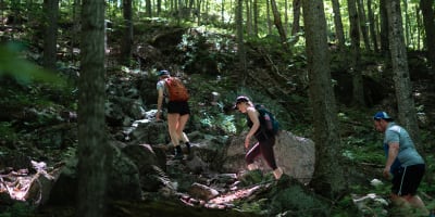 Randonnées pédestres dans Brome-Missisquoi