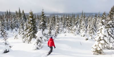 Une personne à la Réserve faunique des Laurentides en hiver.