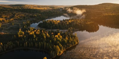 Vue aérienne de la Réserve faunique Mastigouche en automne.