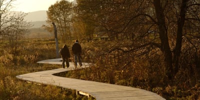 Deux personnes sur le sentier en passerelle en bois.