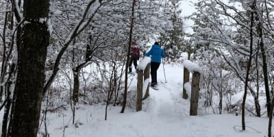 Randonnée en raquette à la Réserve naturelle Boisé des Douze.