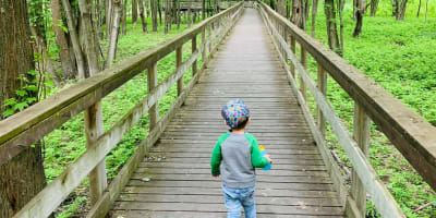 Jeune enfant marchant sur la passerelle en bois en été.
