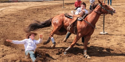 Professional rodeo.
