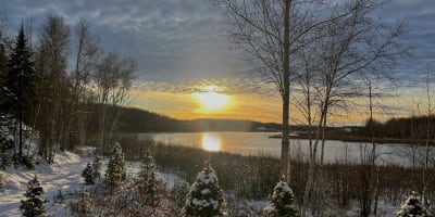 Sapins de Noël Rouyn-Noranda.