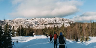 Cross-country skiing in Parc national des Grands-Jardins, in the Mountains Sector.