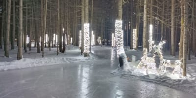 A skating trail through the forest of Lac-Simon.