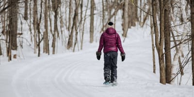 Snowshoe hike on the Sentiers les Renards Blancs.