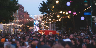 Crowd at Festival Sherblues.