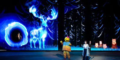 Le spectacle nocturne Ilia.