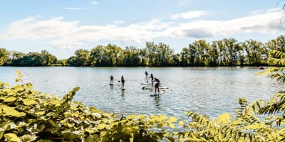 Summer SUP lessons on the river. 