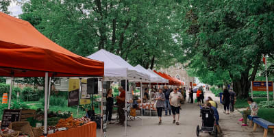 Marché public de Deschambault