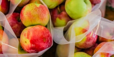 Verger Le Gros Pierre - Bags of apples