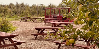 Verger Trois Pommes – Biologique.
