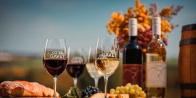 Dégustation de vin au Vignoble Les Côtes du Gavet.