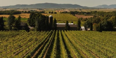 Domaine Les Petits Cailloux.