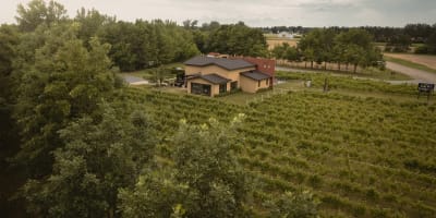 Saint-Thomas Vineyard.