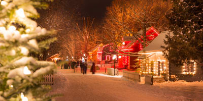 Village Québécois d'Antan