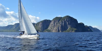 Voile Mercator.