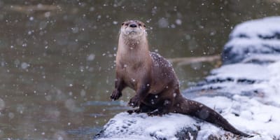 Sunday at the museum.