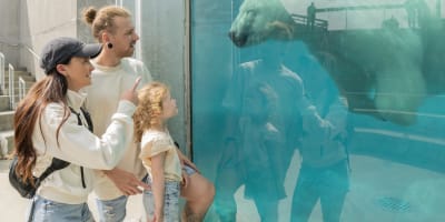 family at the zoo.