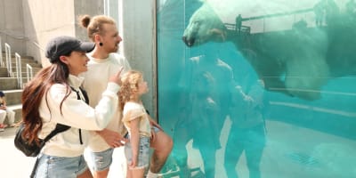 A family at St-Félicien Zoo