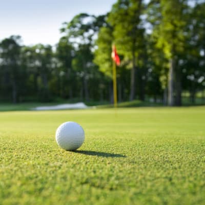 Multi-Course Golf Package 