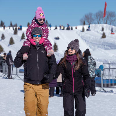 Winterlude - Snowflake kingdom