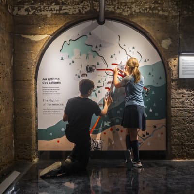 The Boréalis family experience
