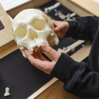 Exposition Archéologie et enquêtes criminelles