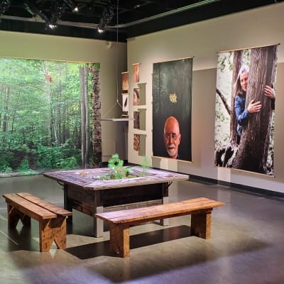 Temporary exhibition Fou d'forêt