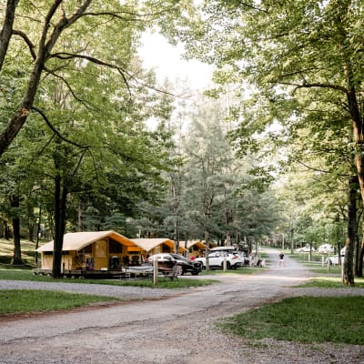 Camping des Voltigeurs